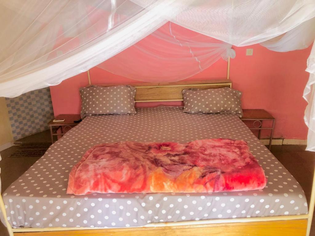 Hotel Toolbi Niaga Экстерьер фото